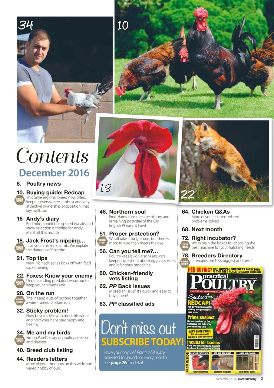 Practical Poultry Preview Pages