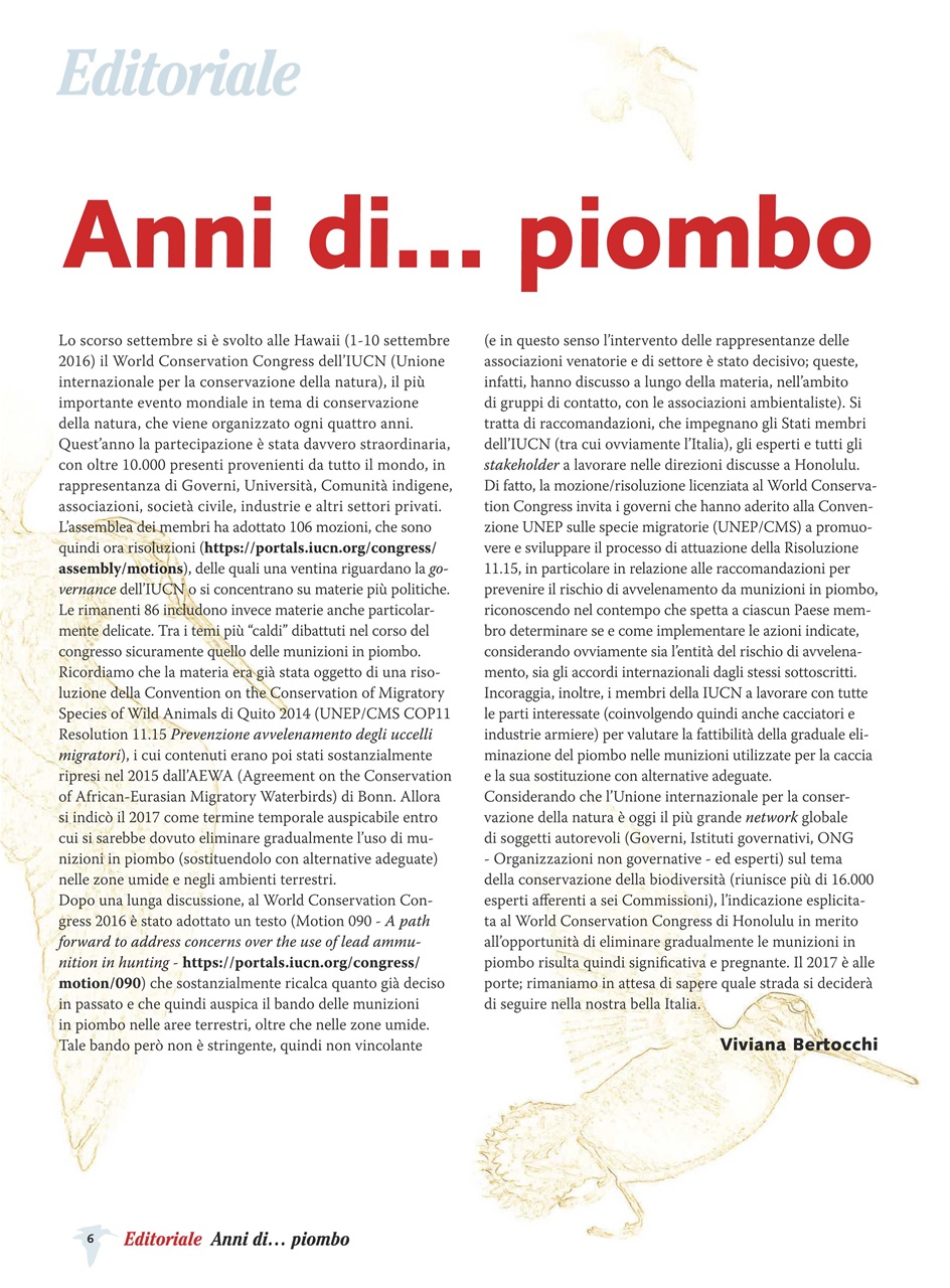 BECCACCE CHE PASSIONE Preview Pages