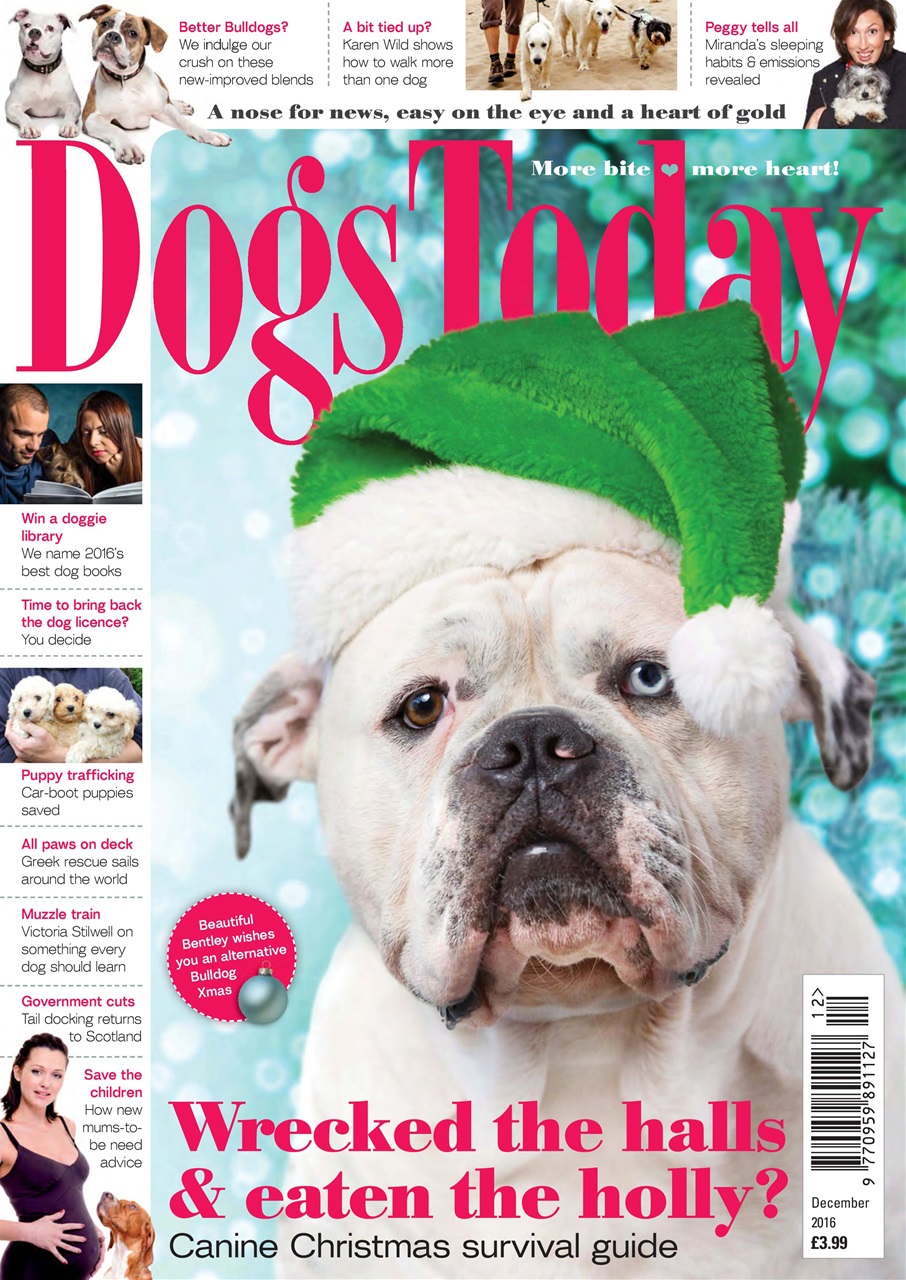Dogs Today Magazine Preview Pages