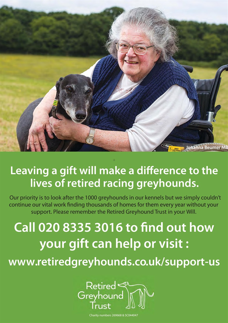 Dogs Today Magazine Preview Pages