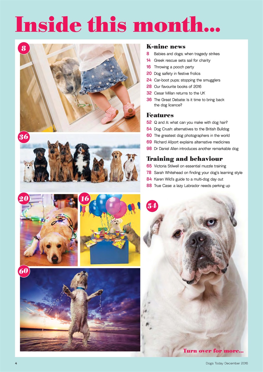 Dogs Today Magazine Preview Pages