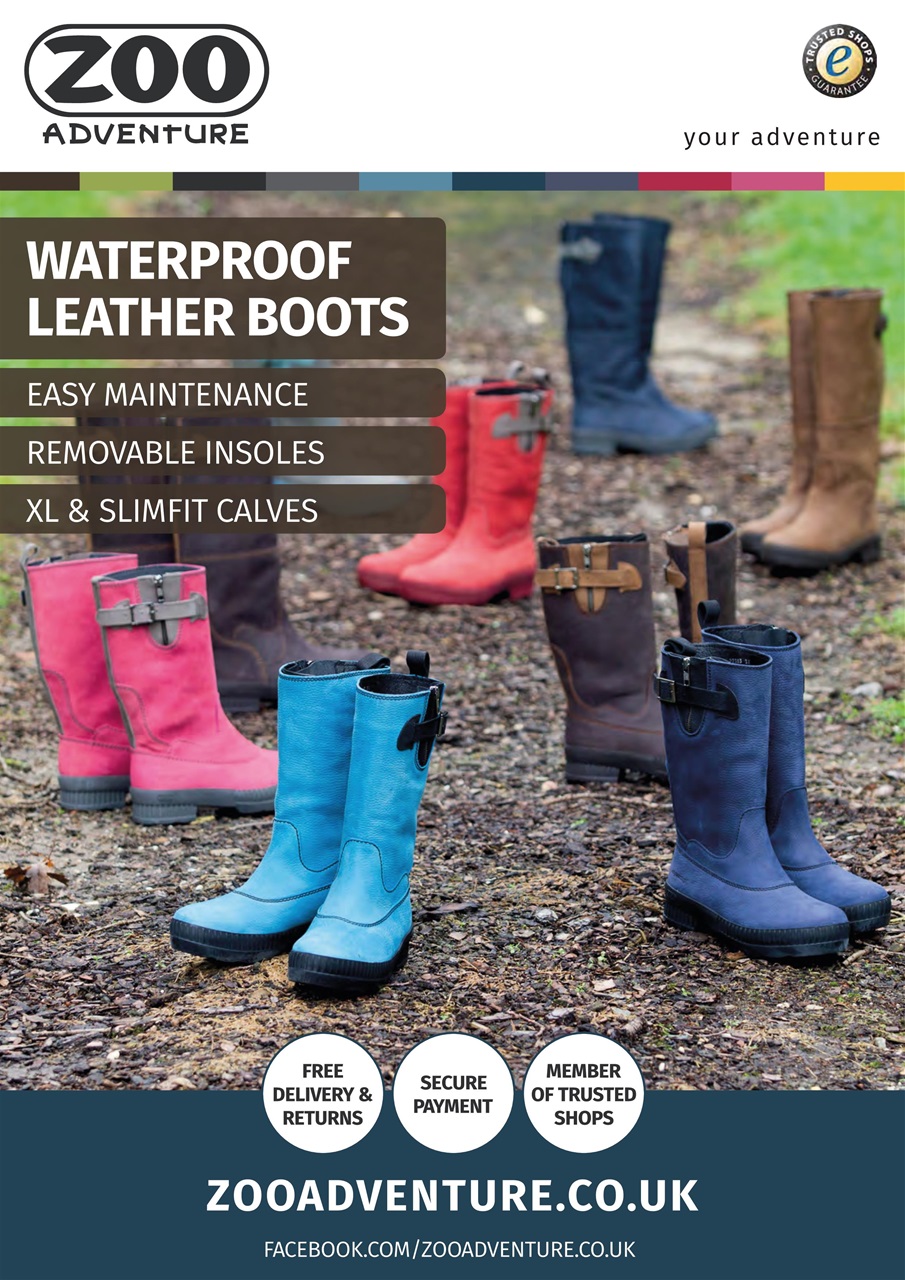 Dogs Today Magazine Preview Pages