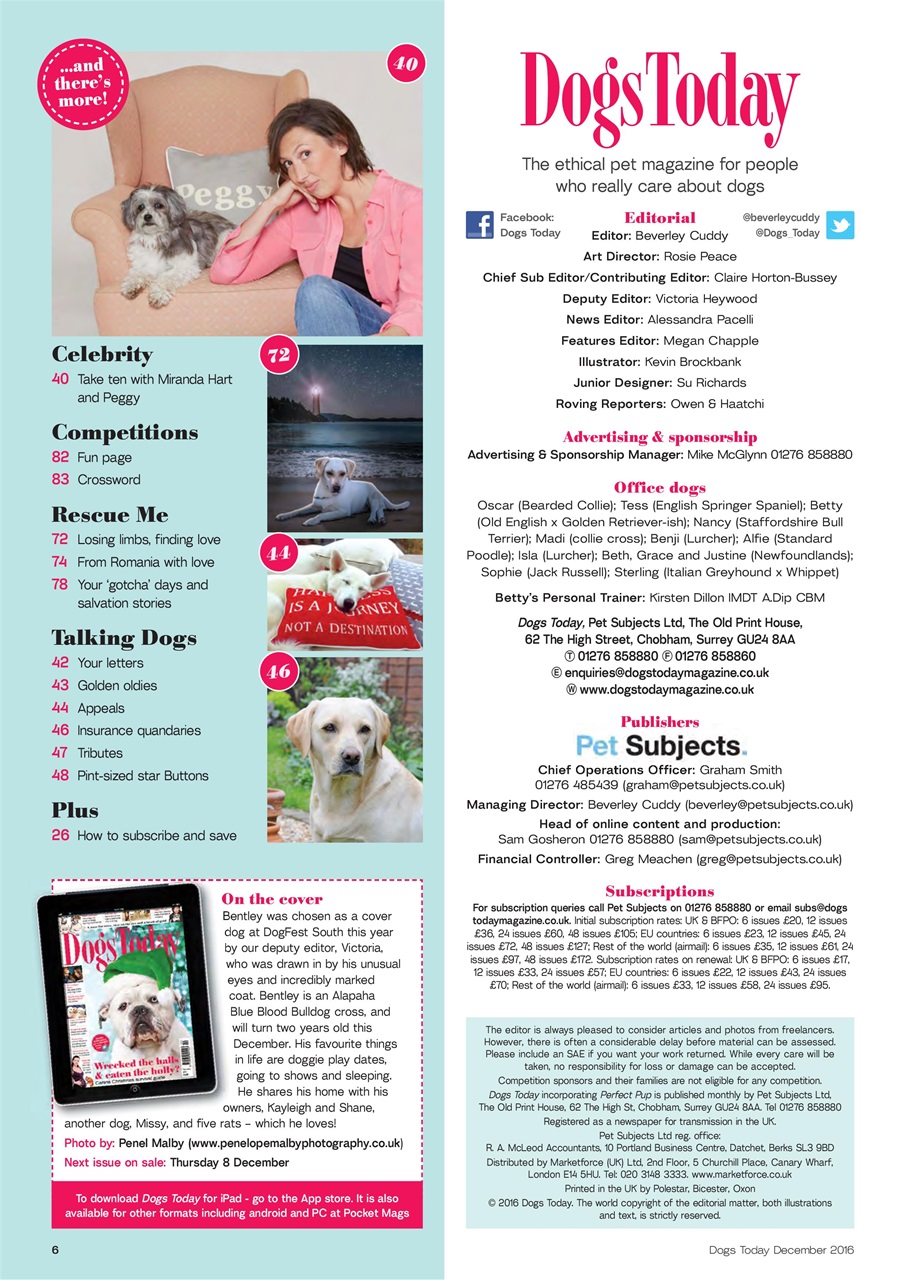 Dogs Today Magazine Preview Pages