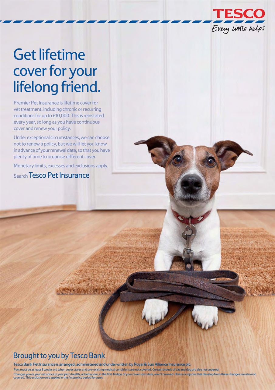 Dogs Today Magazine Preview Pages