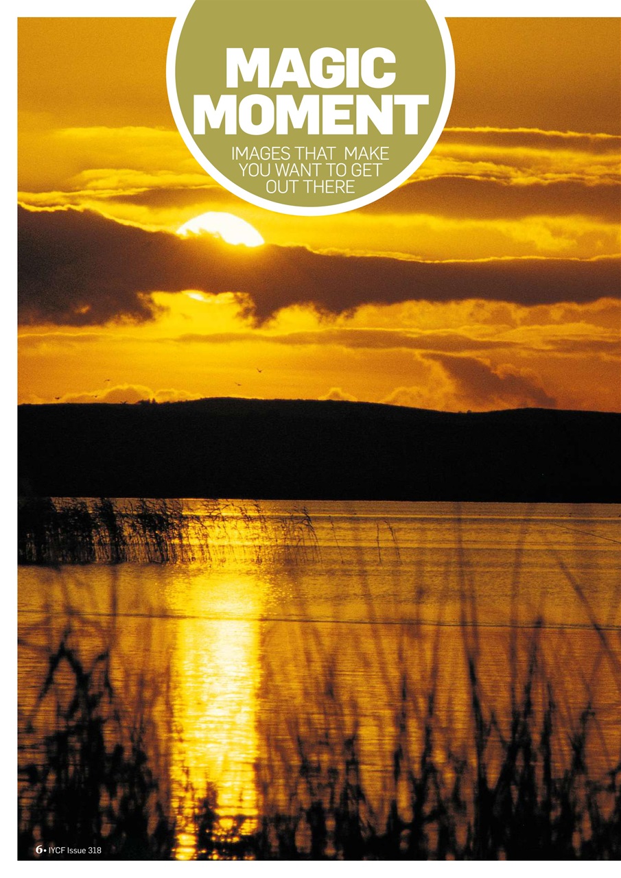 Improve Your Coarse Fishing Preview Pages