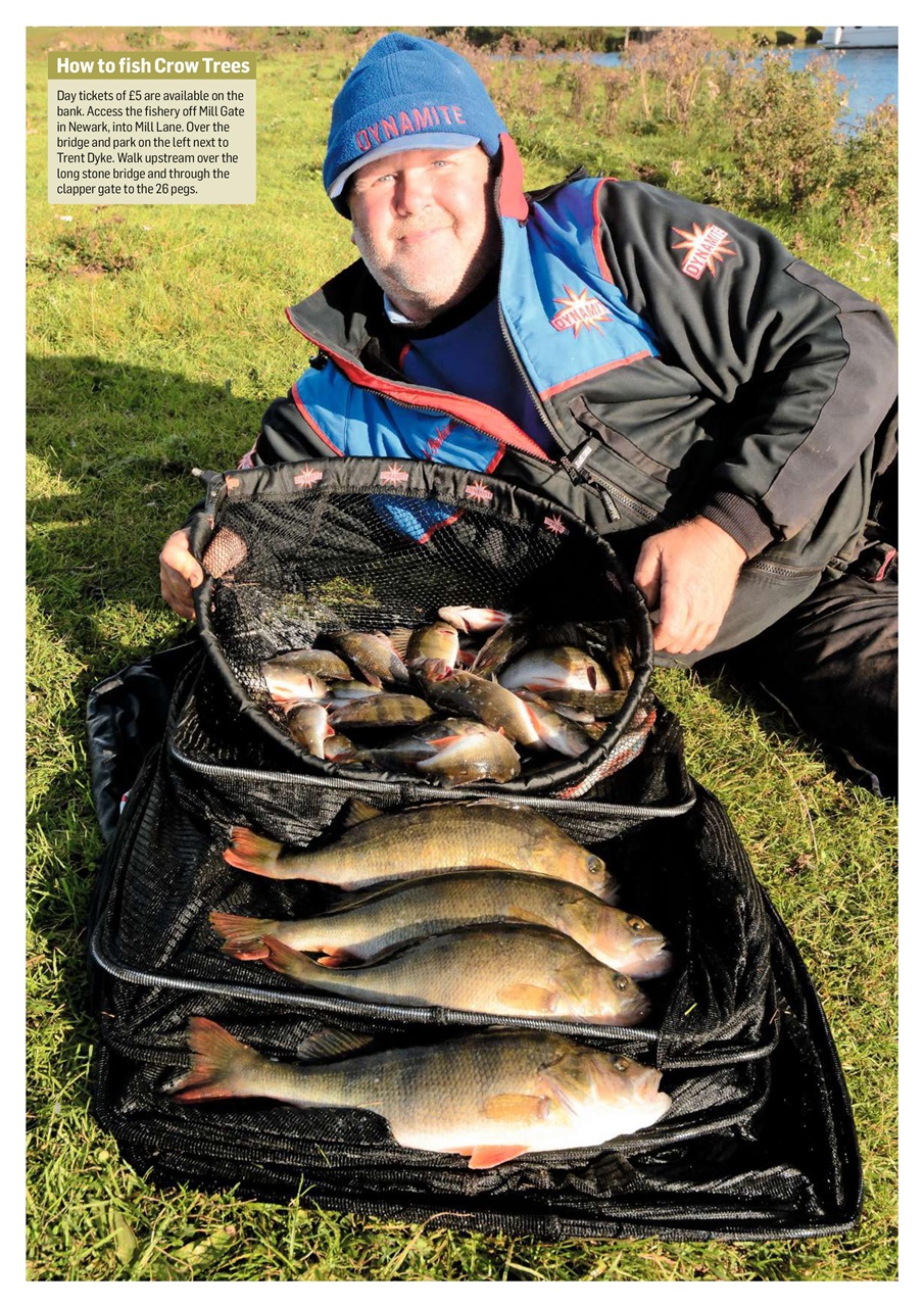 Improve Your Coarse Fishing Preview Pages