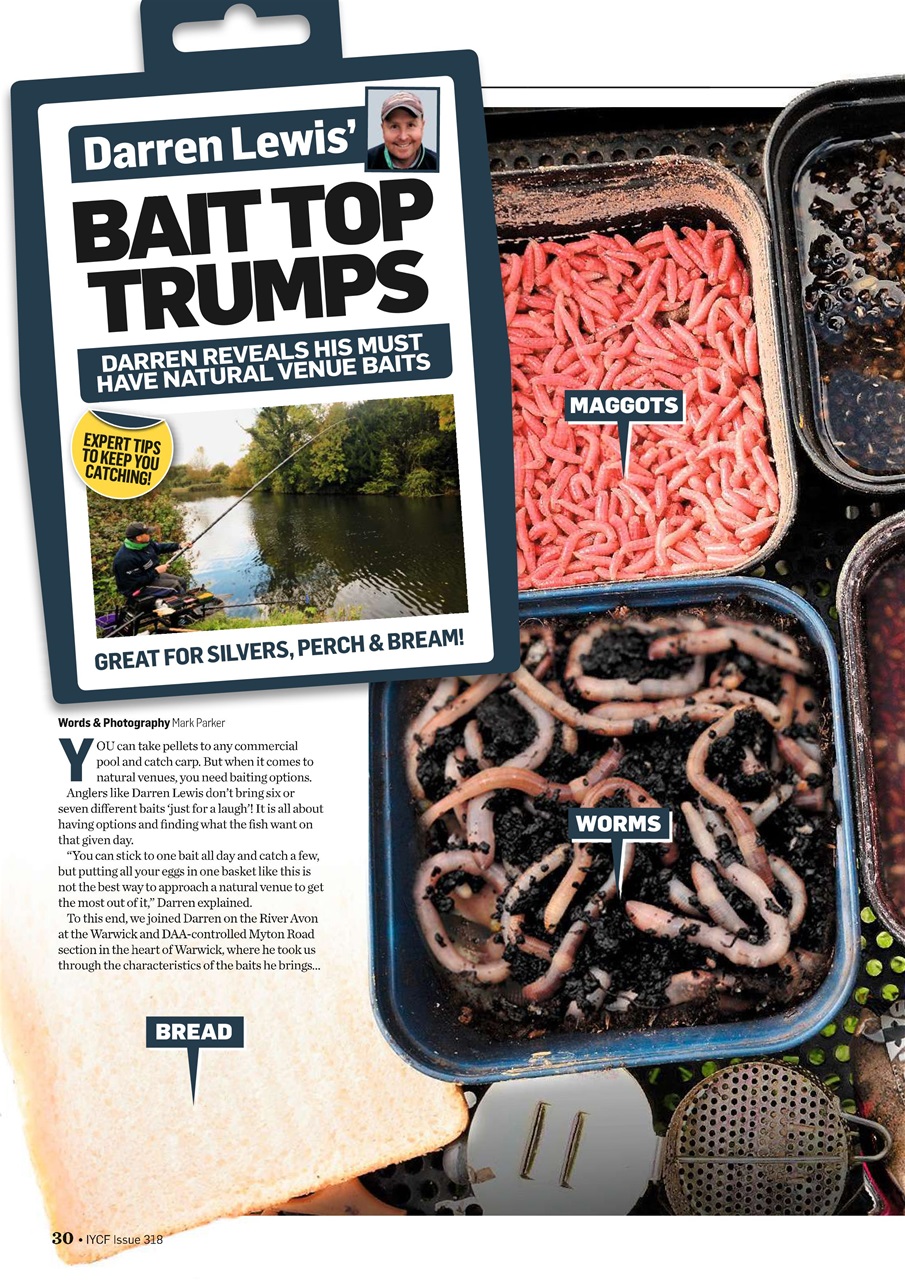Improve Your Coarse Fishing Preview Pages