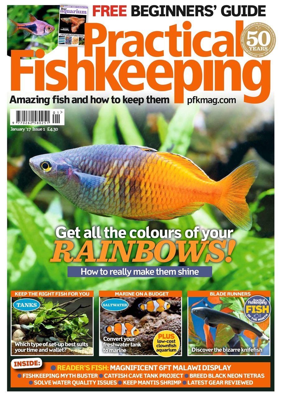 Practical Fishkeeping Preview Pages