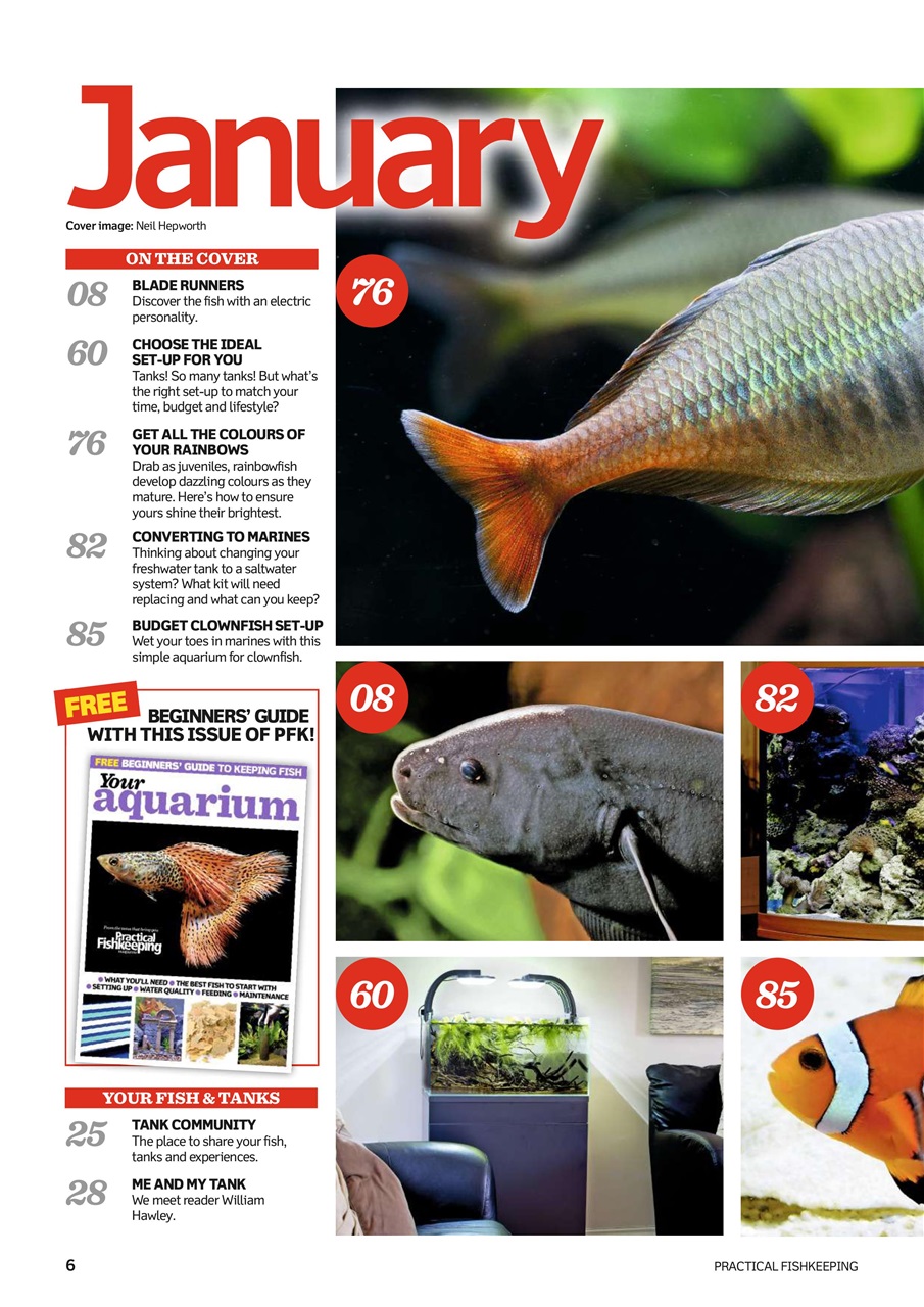 Practical Fishkeeping Preview Pages