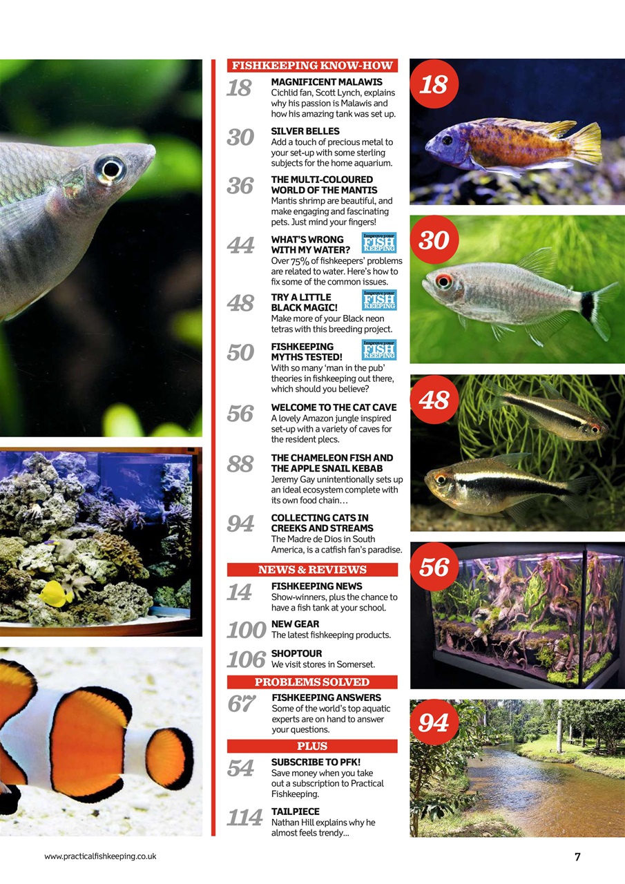Practical Fishkeeping Preview Pages