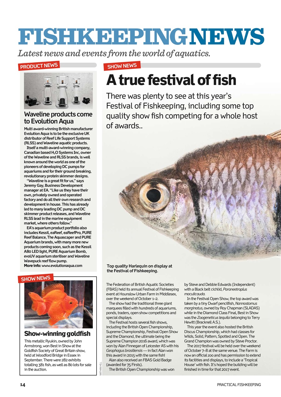 Practical Fishkeeping Preview Pages