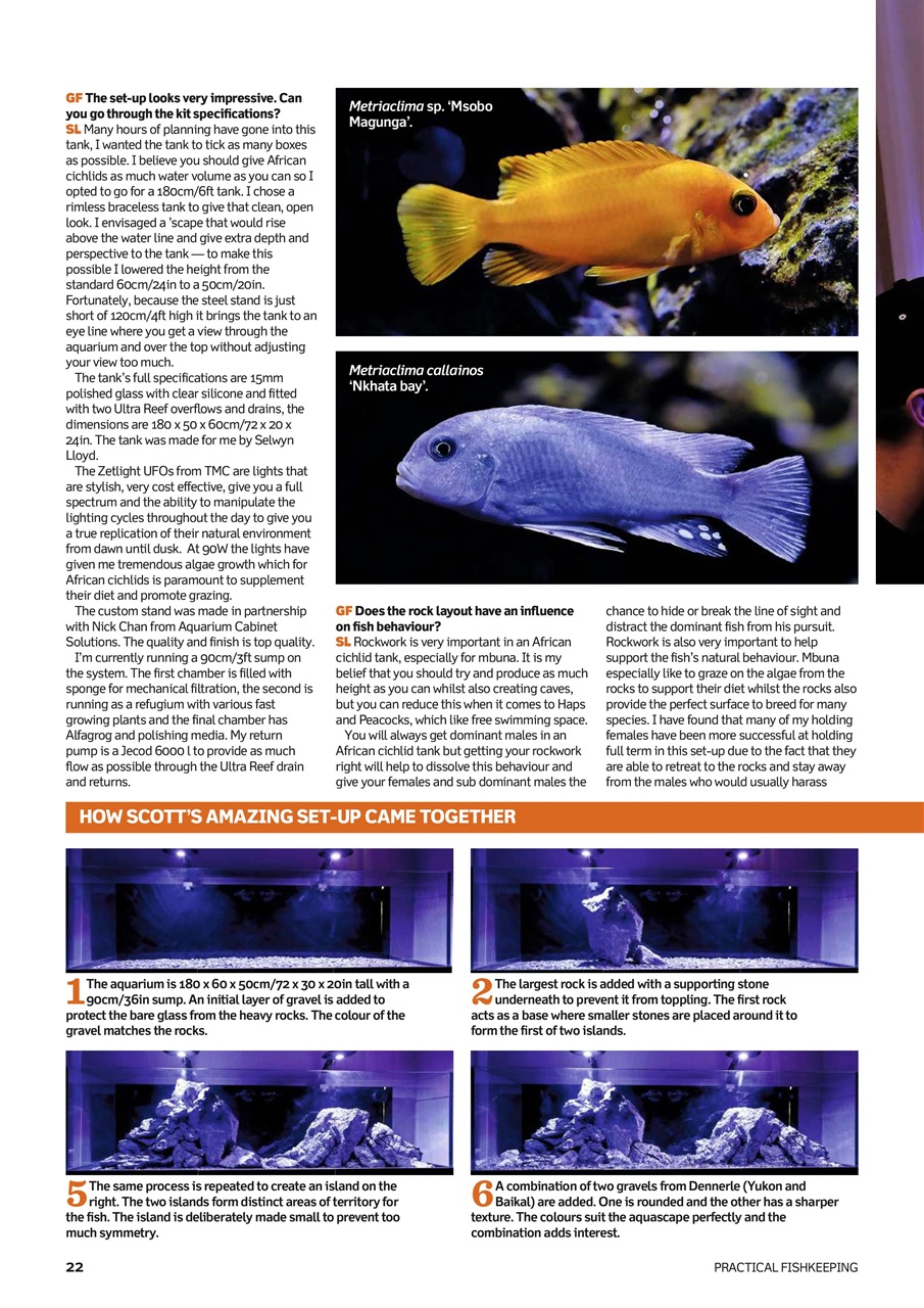 Practical Fishkeeping Preview Pages