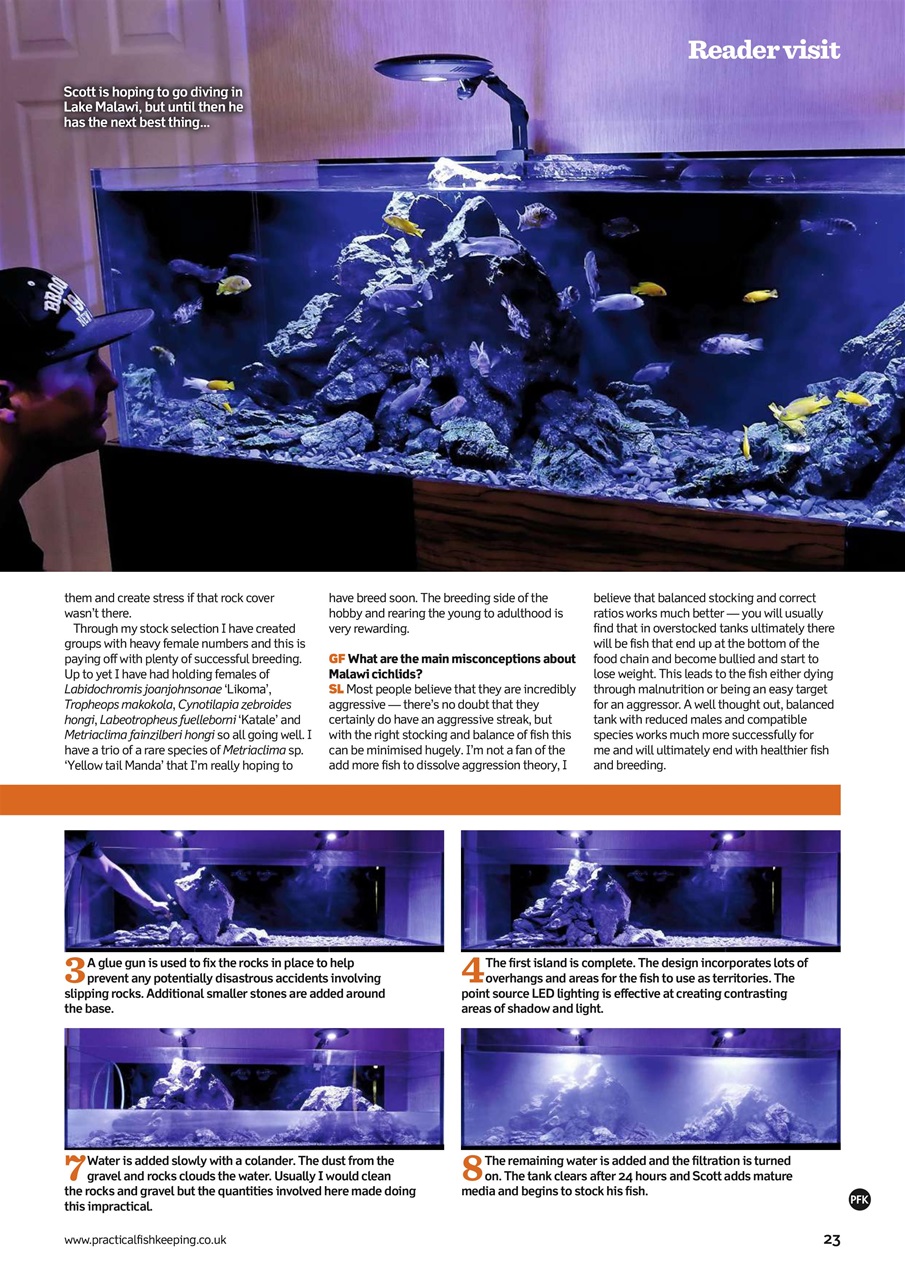 Practical Fishkeeping Preview Pages