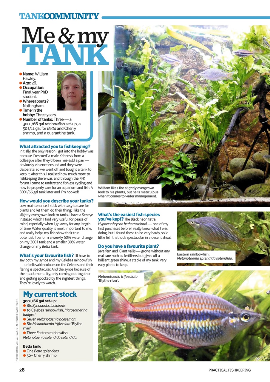 Practical Fishkeeping Preview Pages