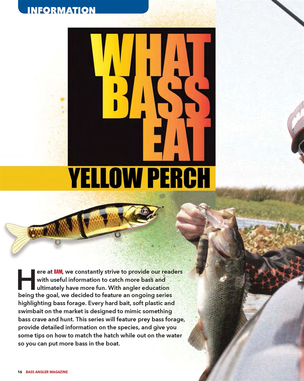 BASS ANGLER MAGAZINE Preview Pages