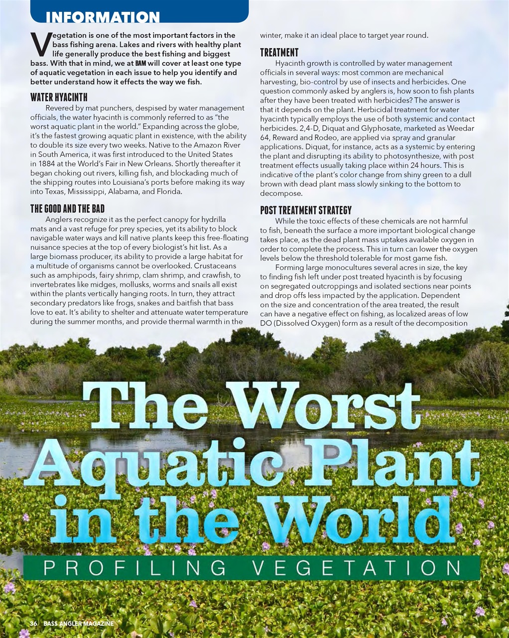 BASS ANGLER MAGAZINE Preview Pages