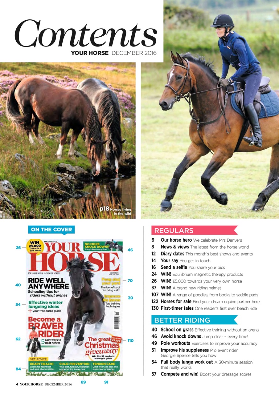 Your Horse Preview Pages