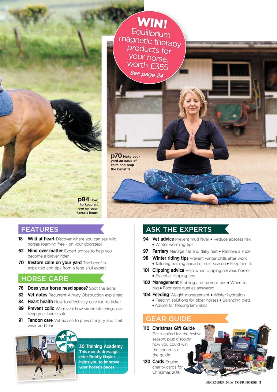 Your Horse Preview Pages