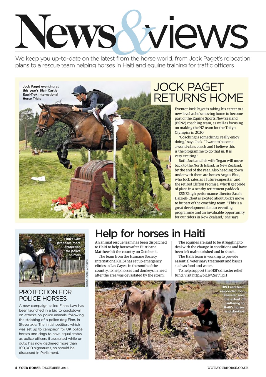 Your Horse Preview Pages