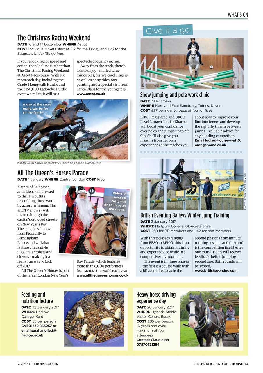 Your Horse Preview Pages