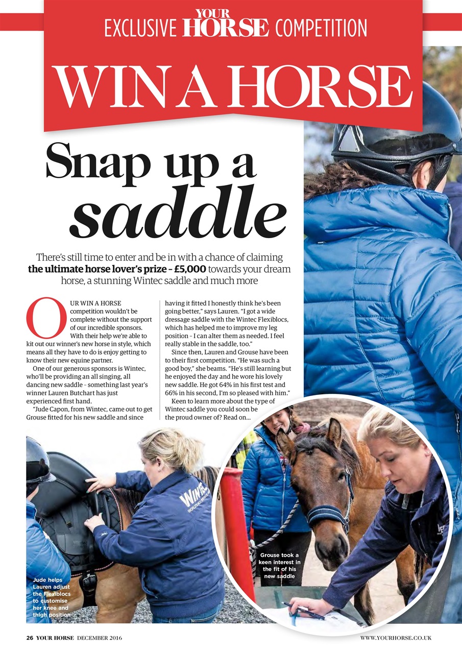 Your Horse Preview Pages