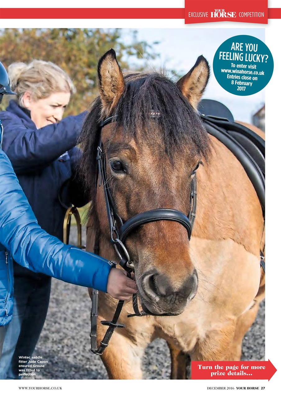 Your Horse Preview Pages