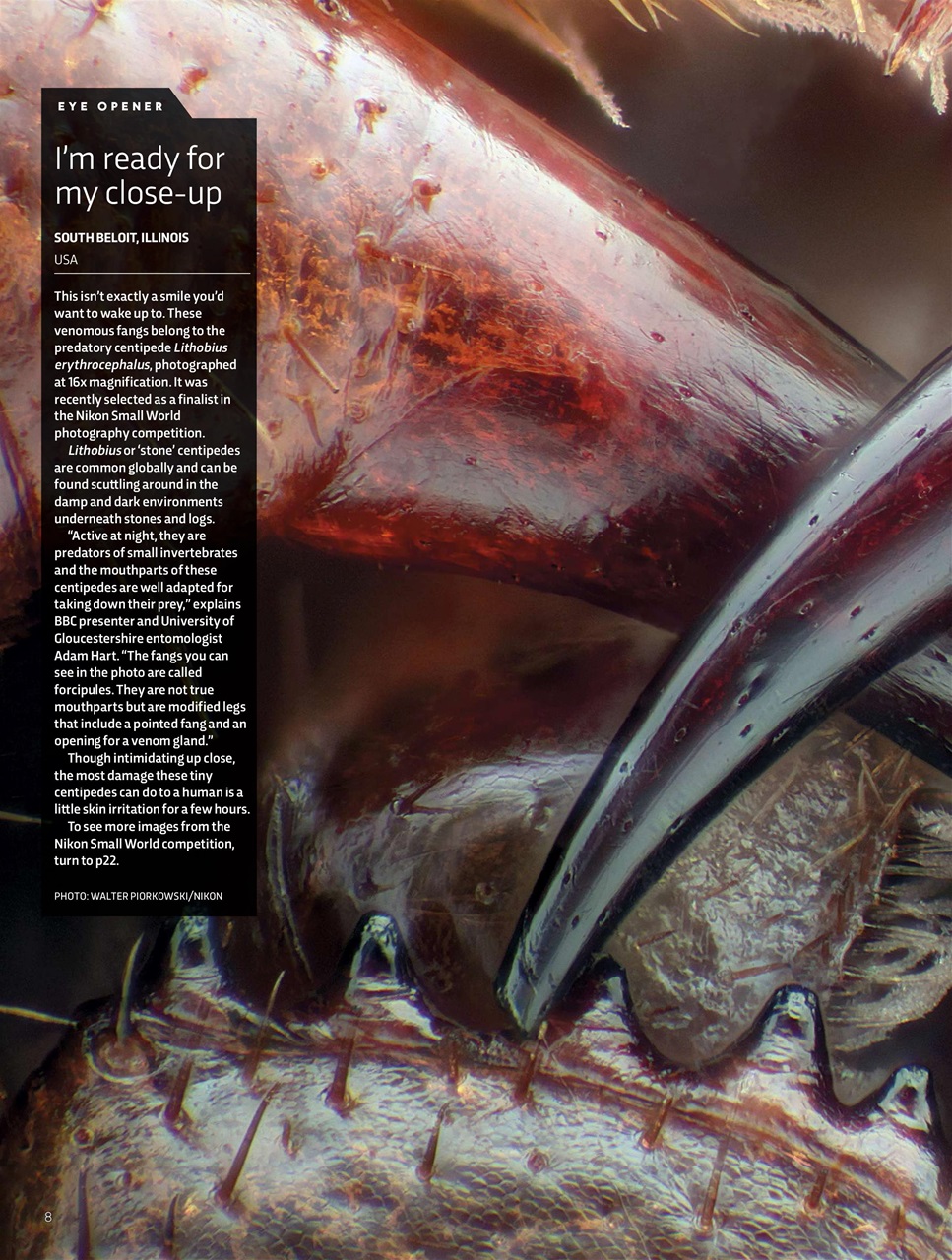 BBC Science Focus Magazine Preview Pages