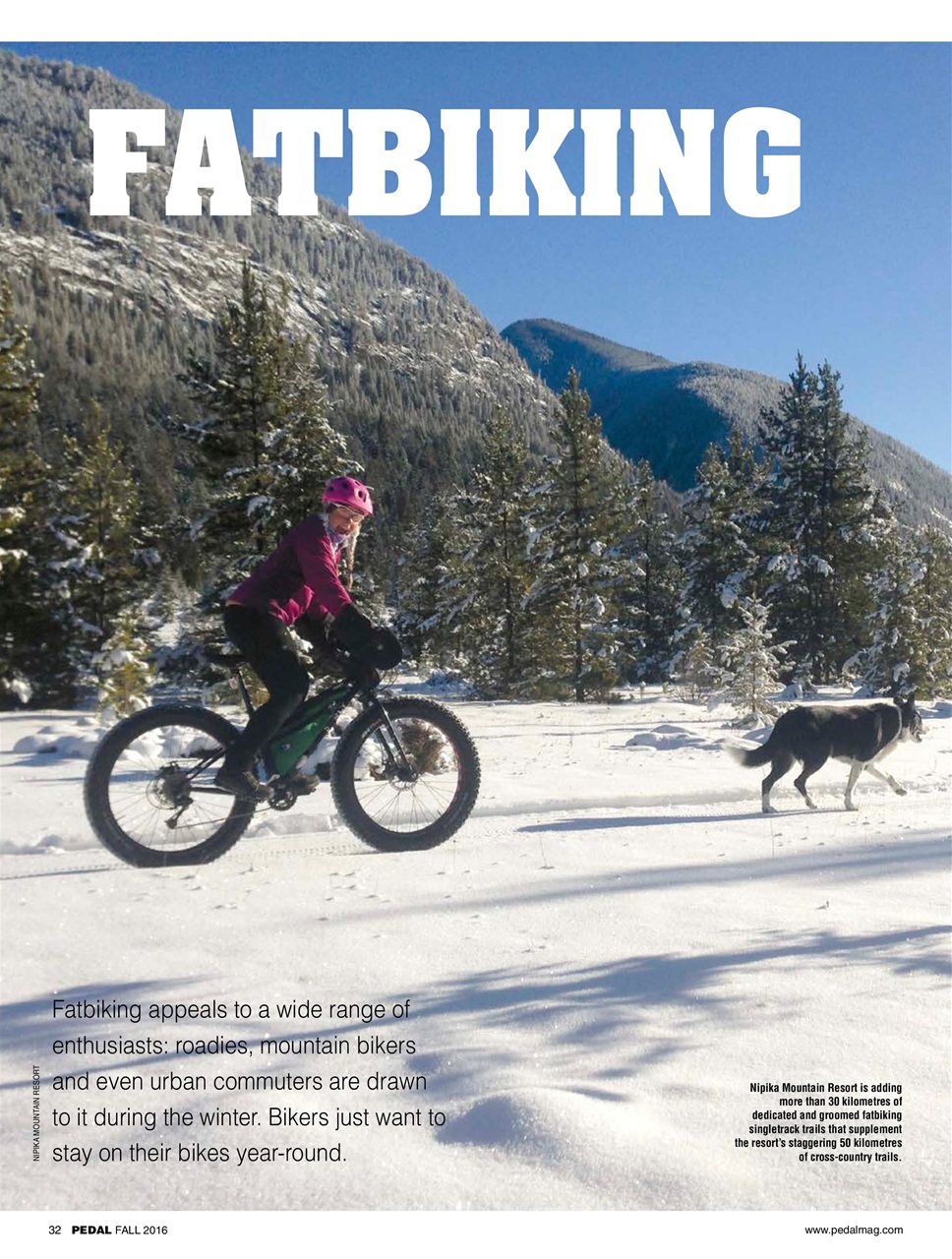 Pedal Magazine Preview Pages