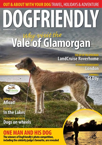 Dog Friendly issue Nov-16