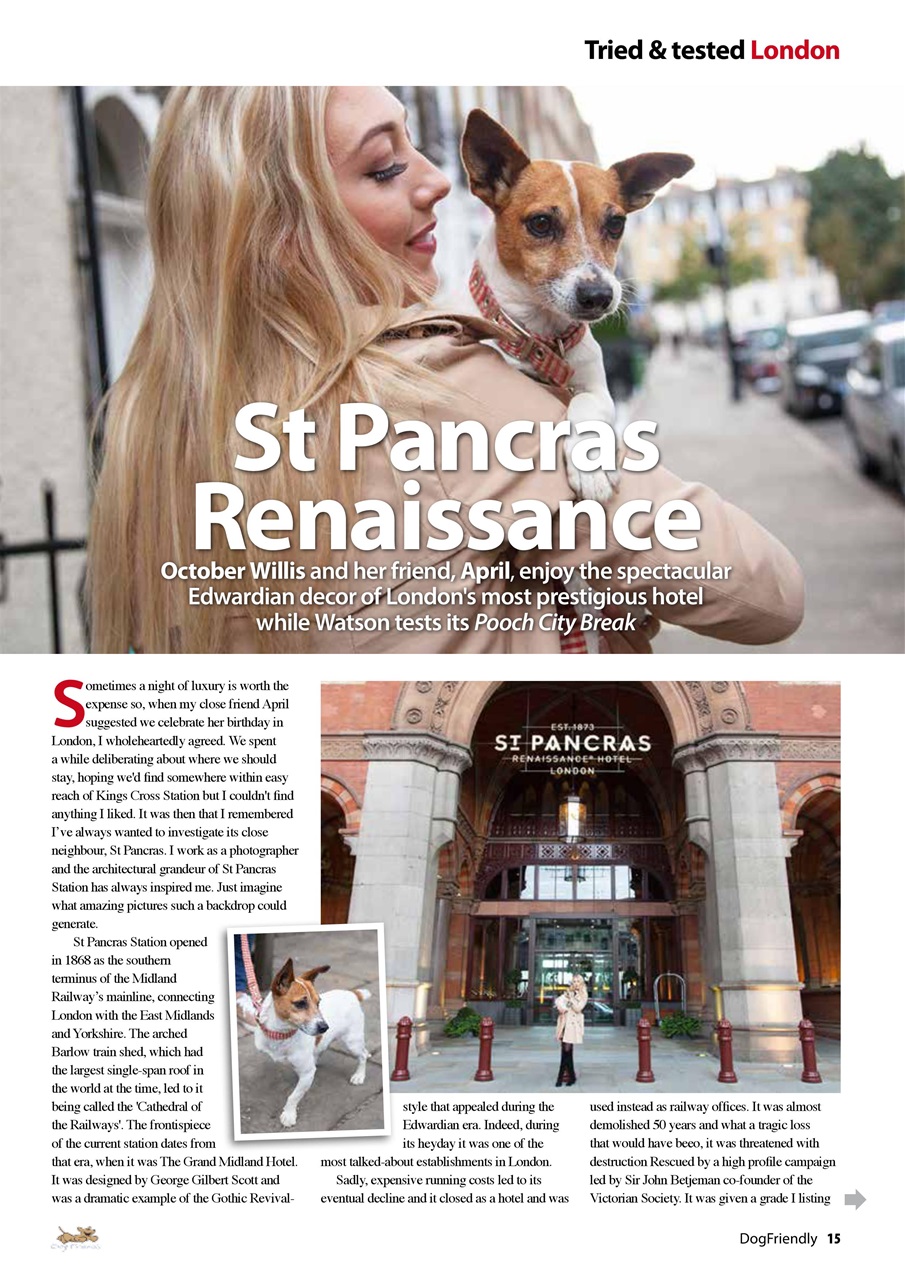 Dog Friendly Preview Pages