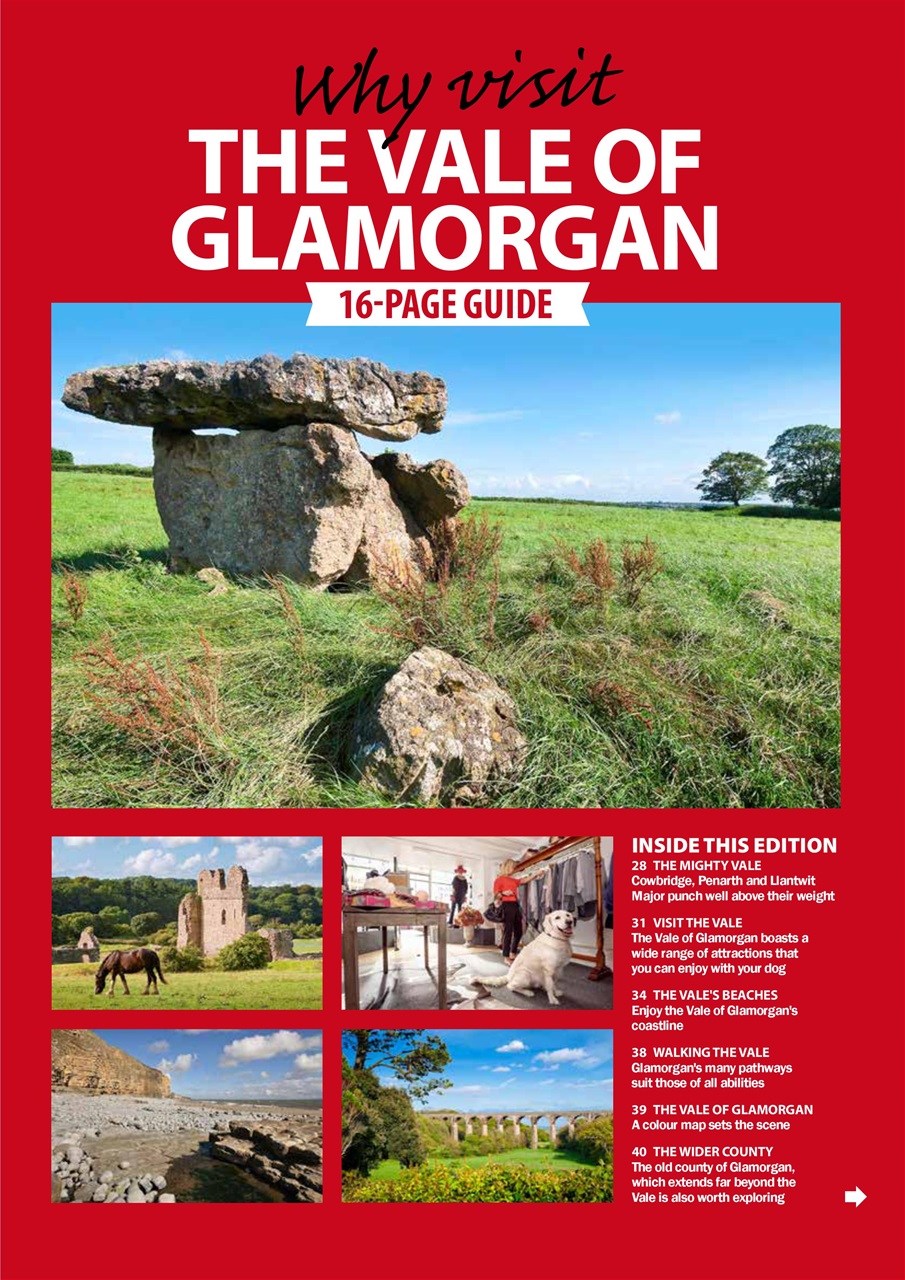 Dog Friendly Preview Pages