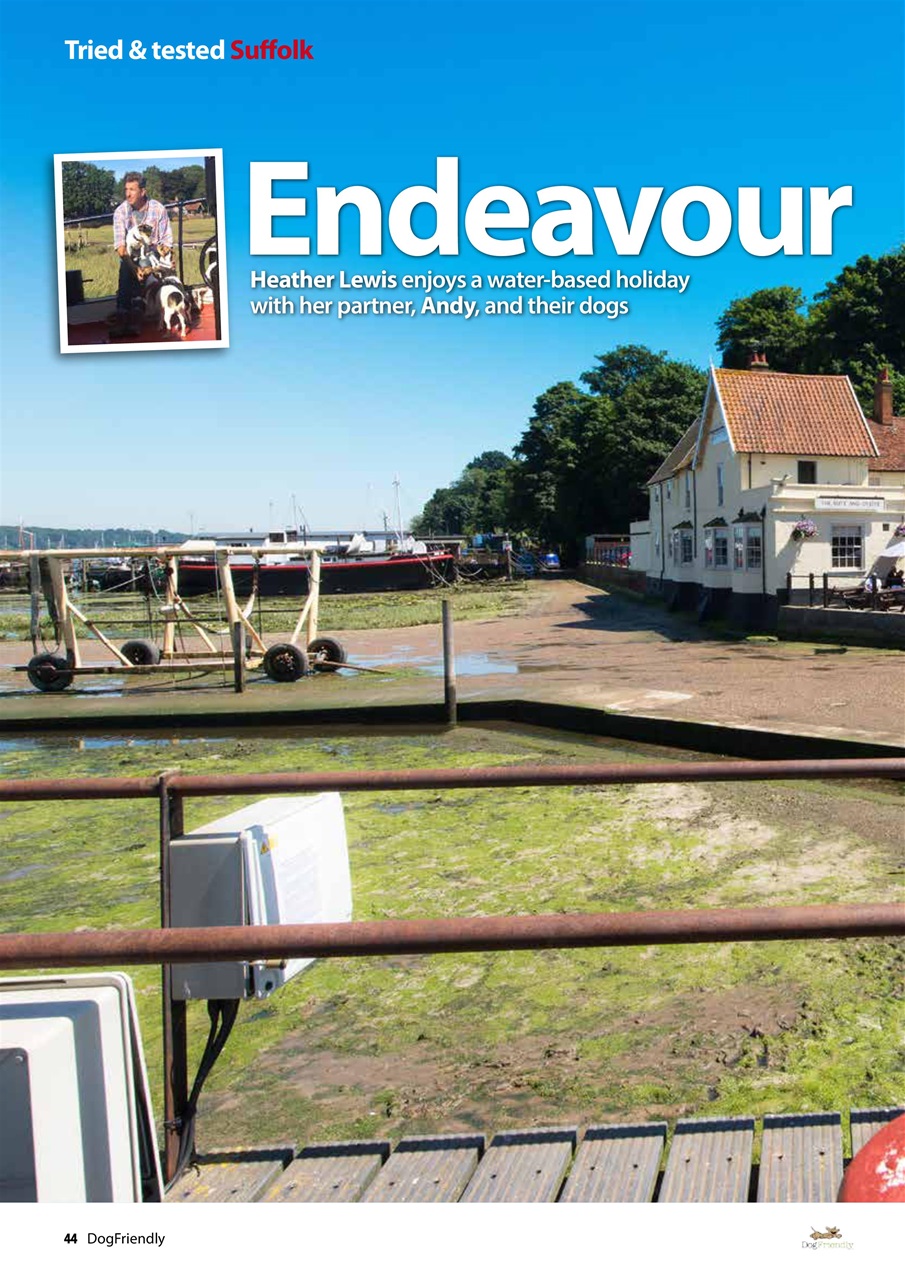 Dog Friendly Preview Pages