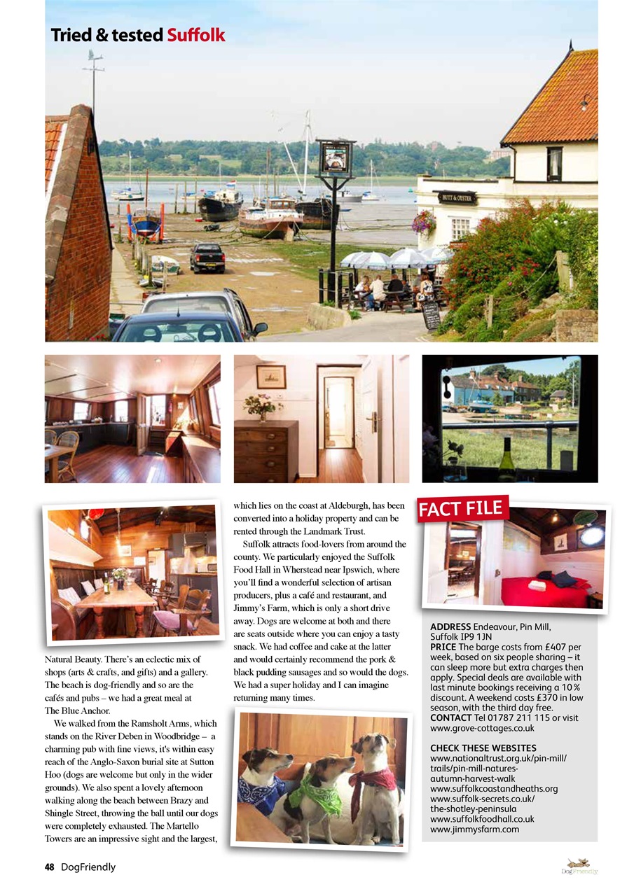 Dog Friendly Preview Pages