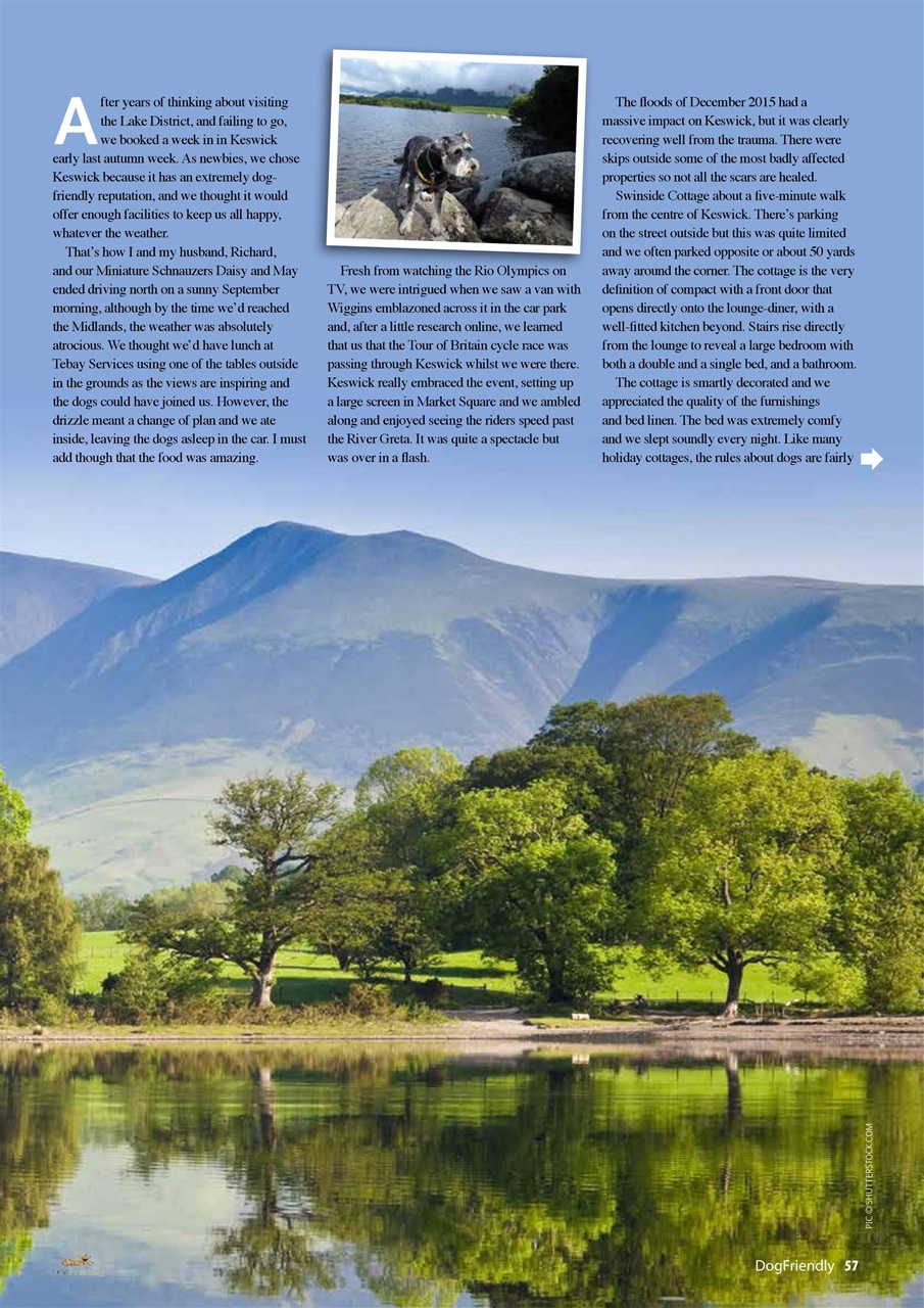 Dog Friendly Preview Pages