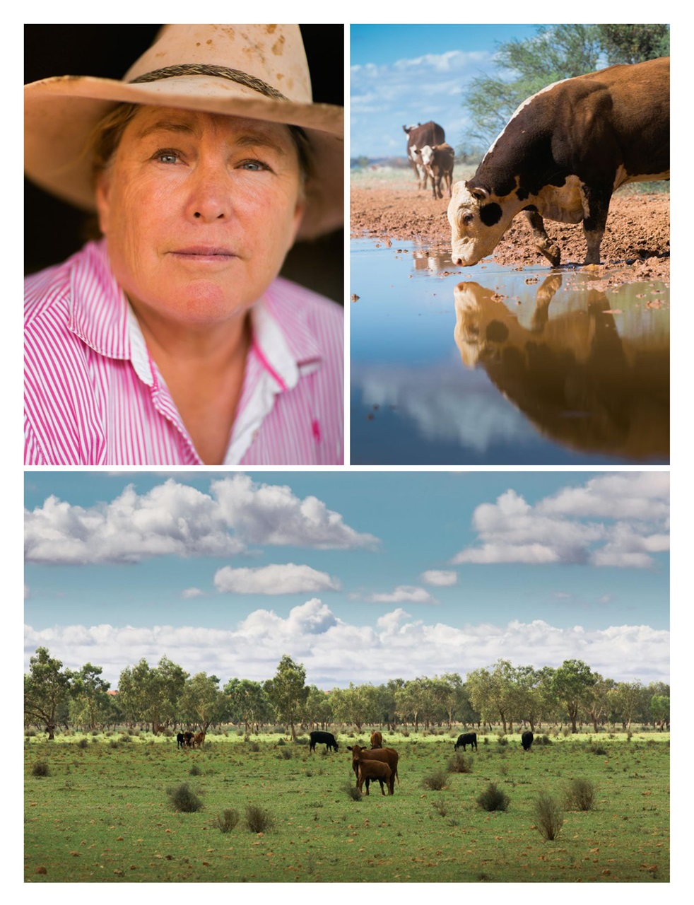 OUTBACK Magazine Preview Pages