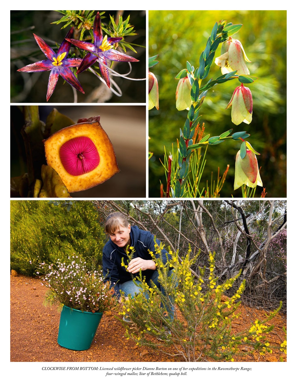 OUTBACK Magazine Preview Pages