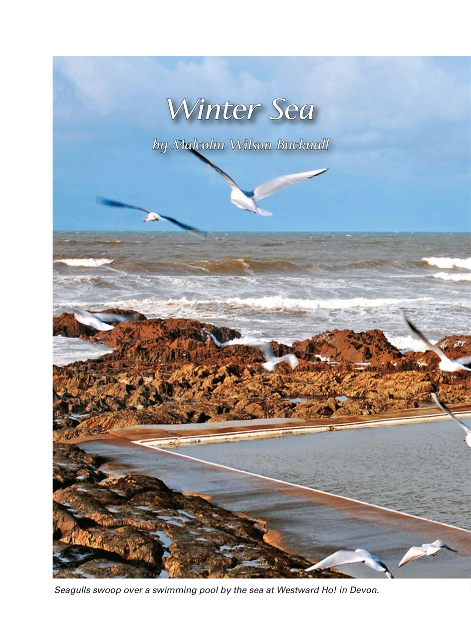 Evergreen Preview Pages