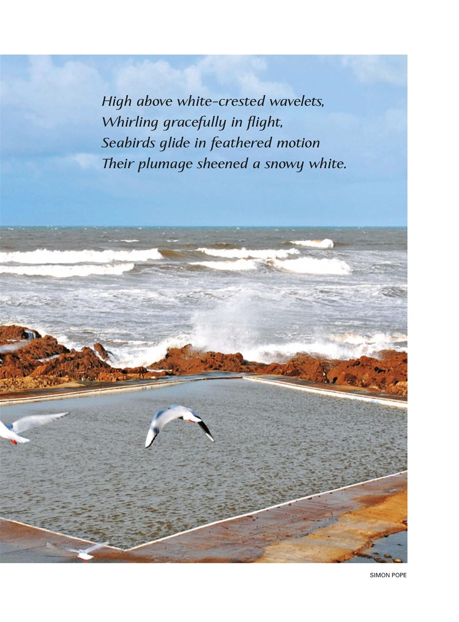 Evergreen Preview Pages