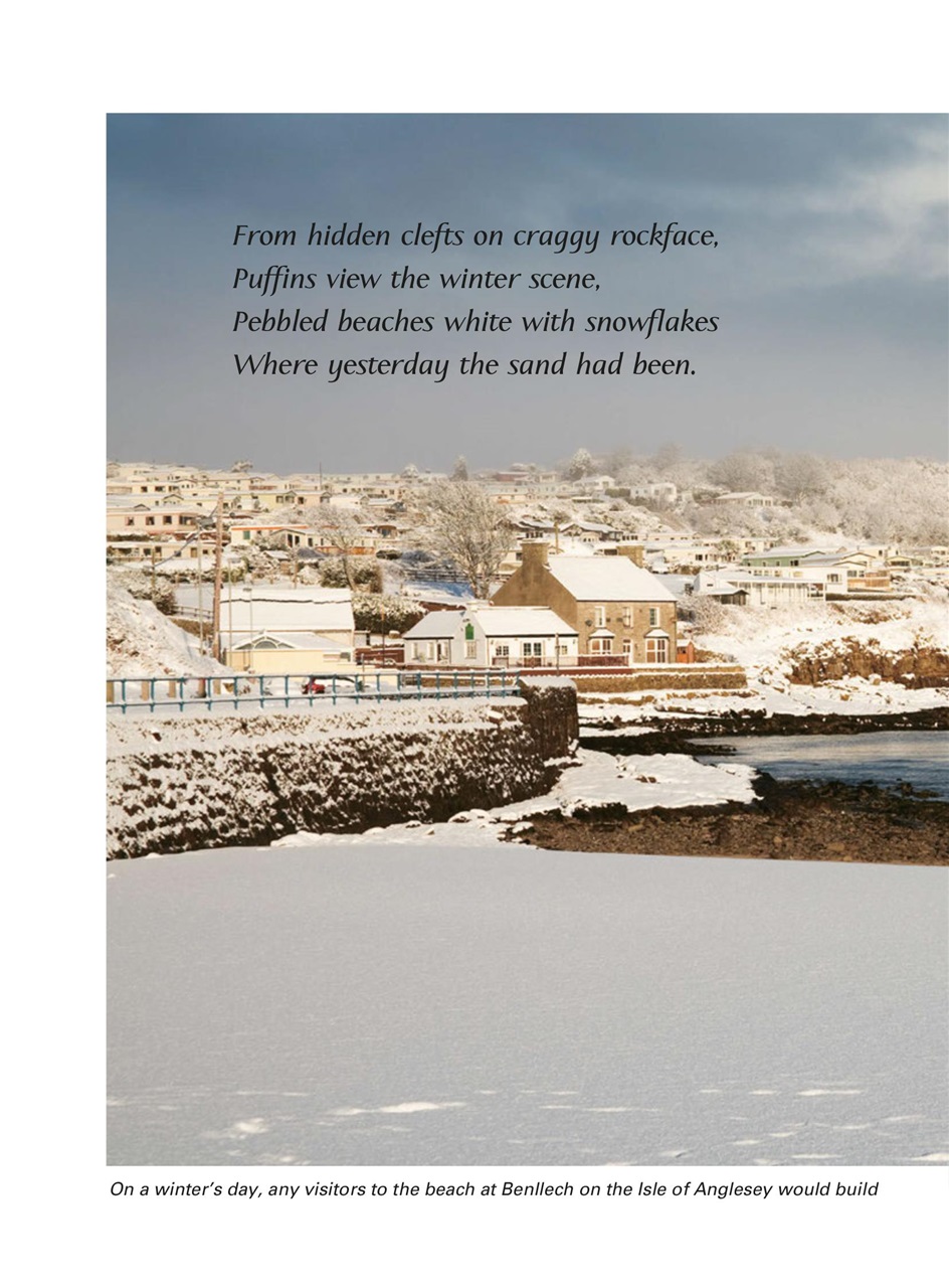 Evergreen Preview Pages