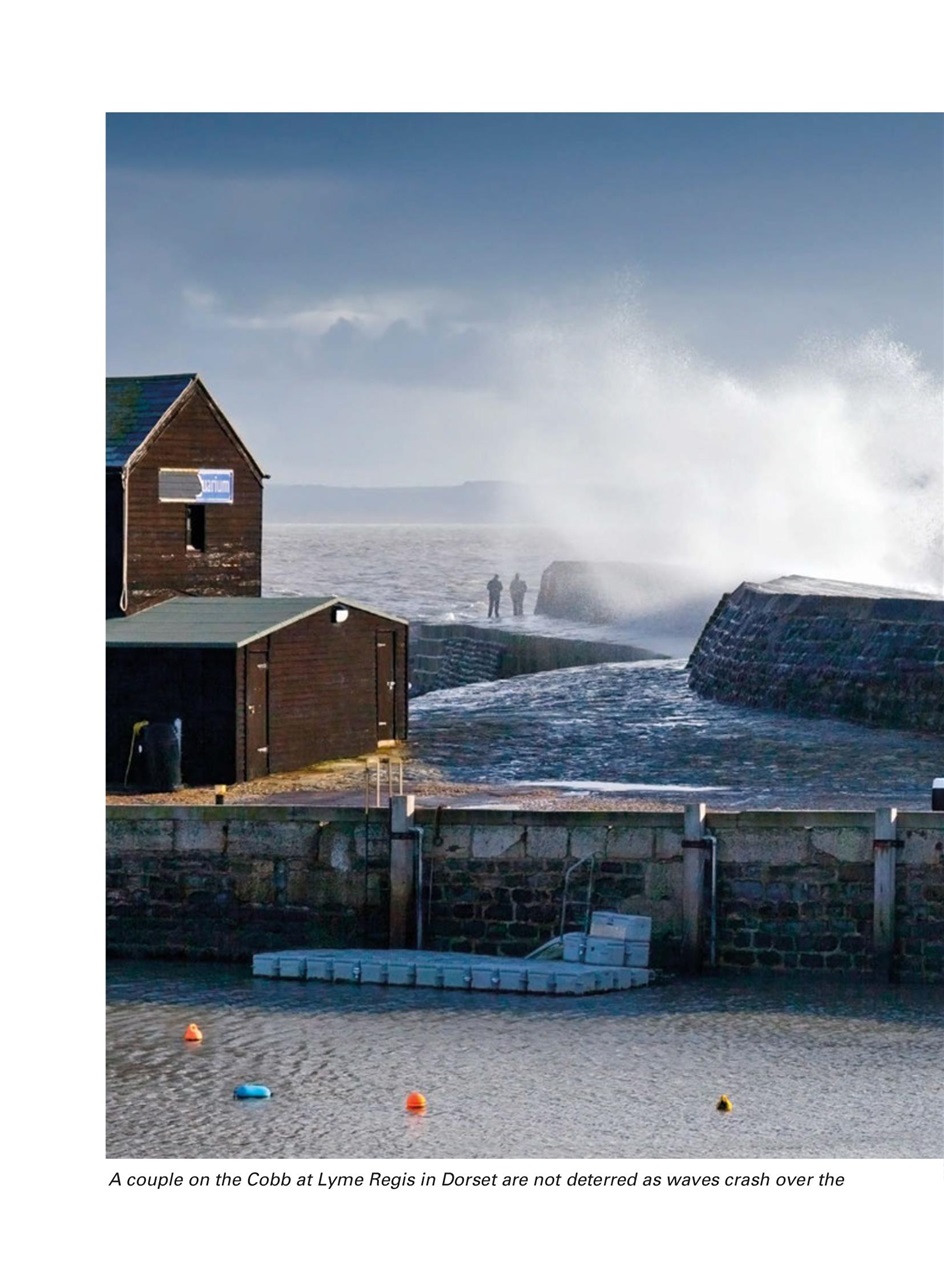 Evergreen Preview Pages