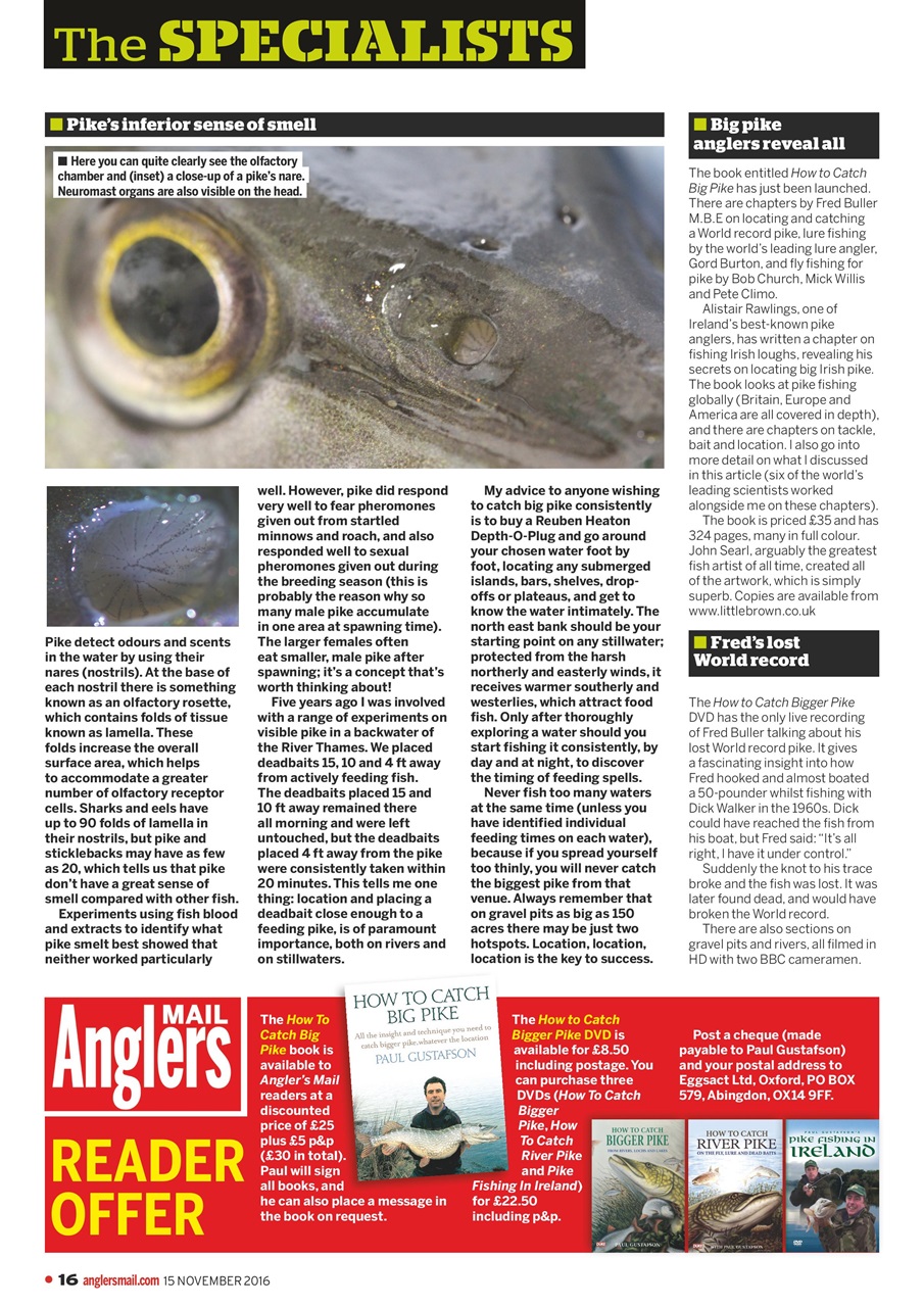 Anglers Mail Preview Pages