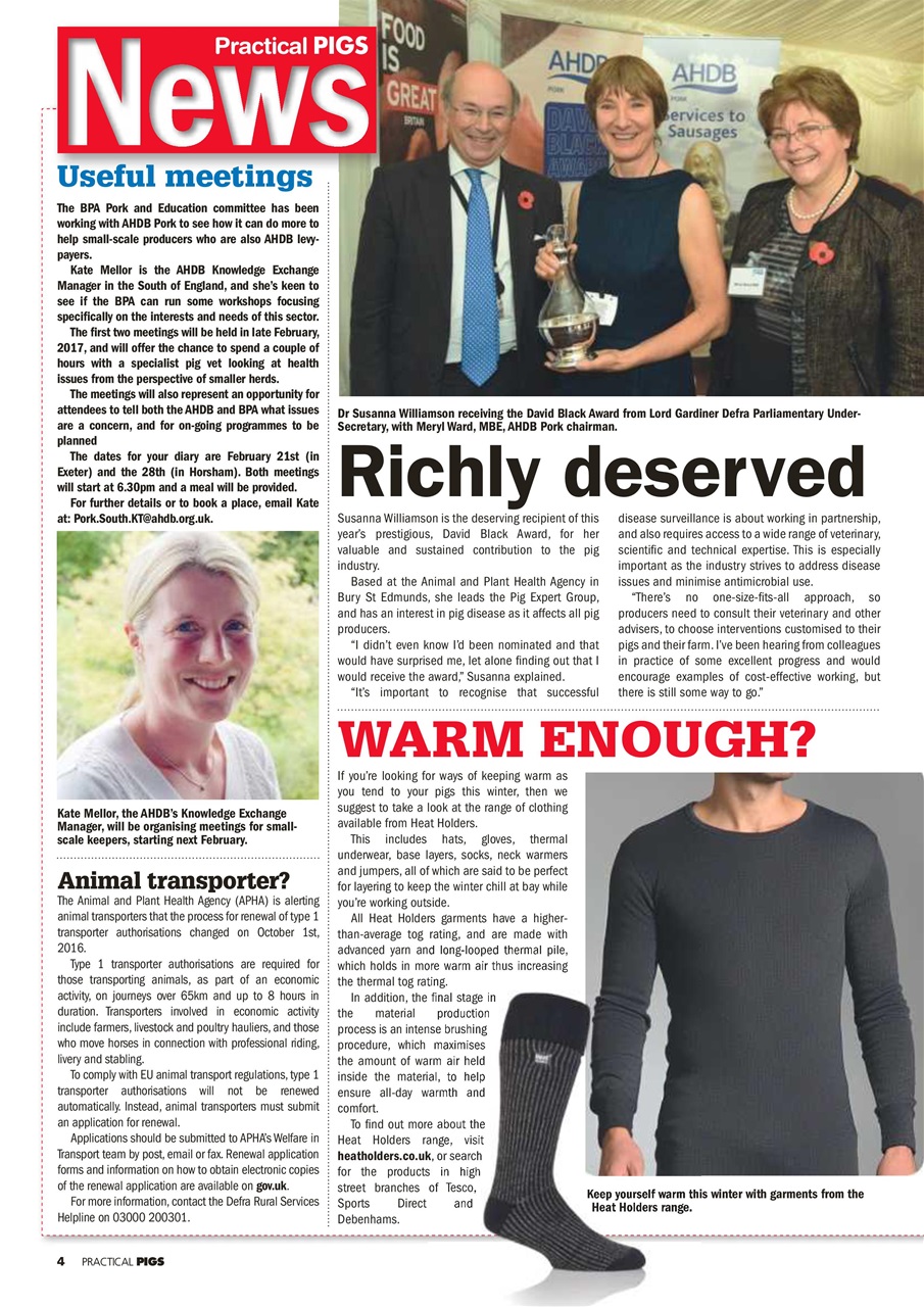 Practical Pigs Preview Pages