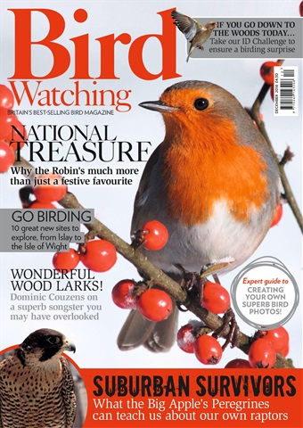 Bird Watching issue December 2016