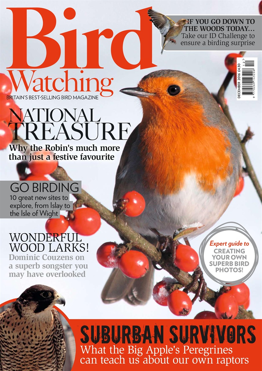 Bird Watching Preview Pages