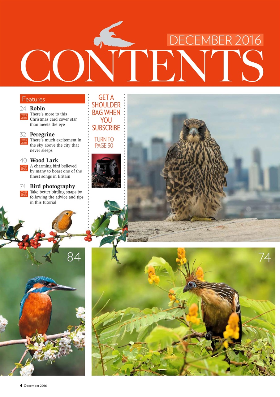 Bird Watching Preview Pages