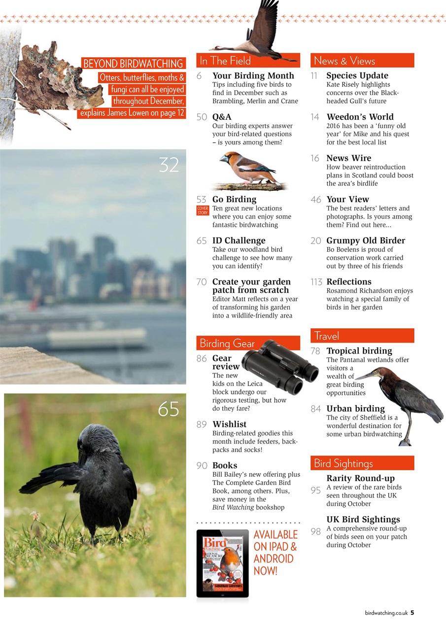 Bird Watching Preview Pages