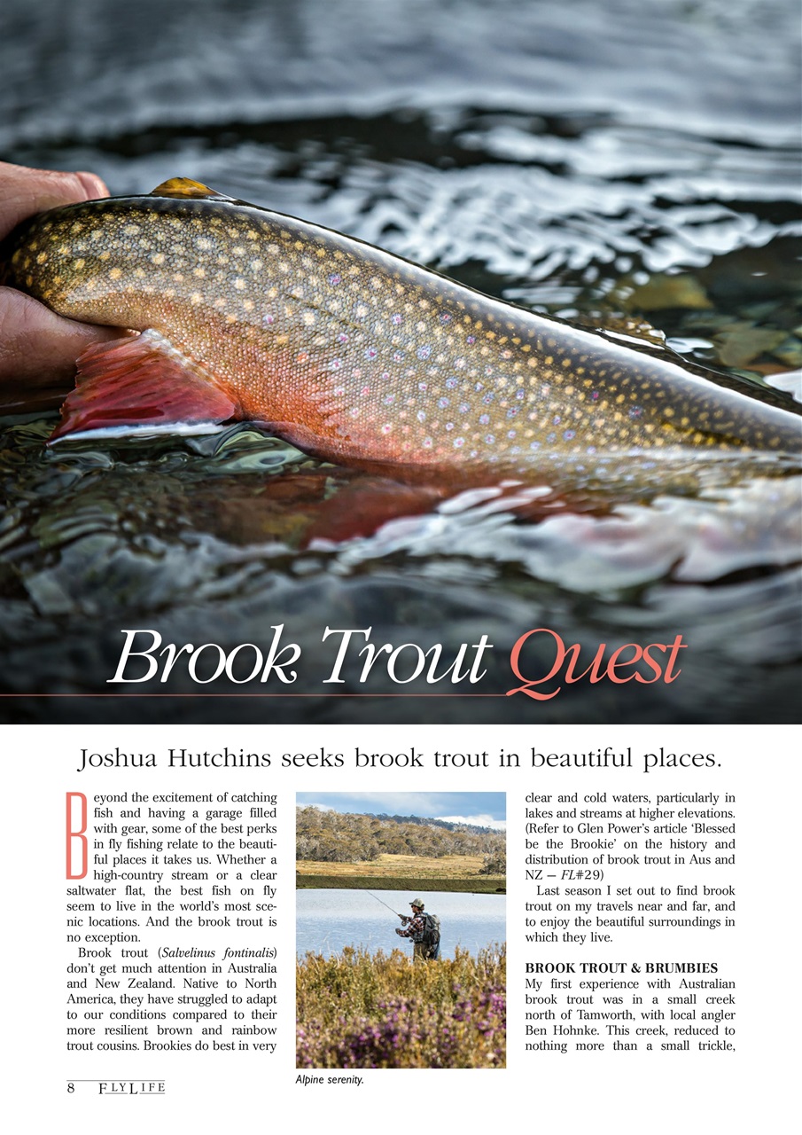 FlyLife Preview Pages