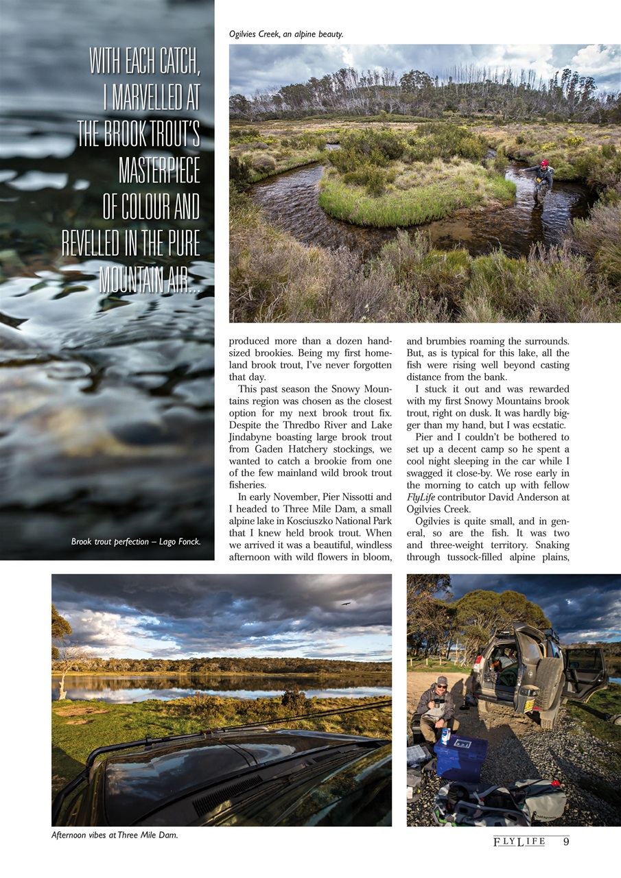 FlyLife Preview Pages