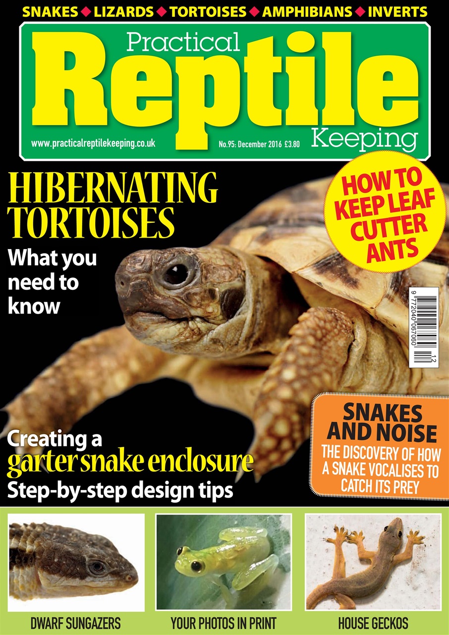 Practical Reptile Keeping Preview Pages