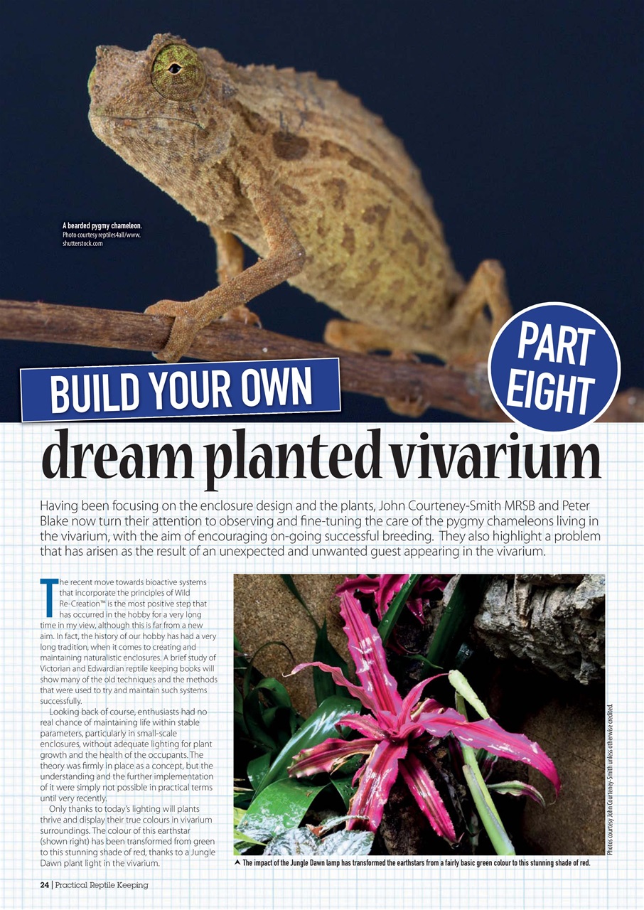 Practical Reptile Keeping Preview Pages